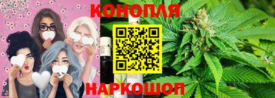 индика Братск