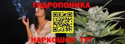индика Братск