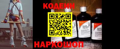 индика Братск