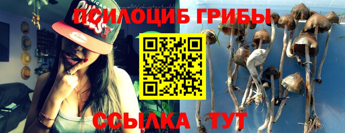 Галлюциногенные грибы Psilocybe  цена наркотик  Великий Устюг  Вход с VPN 