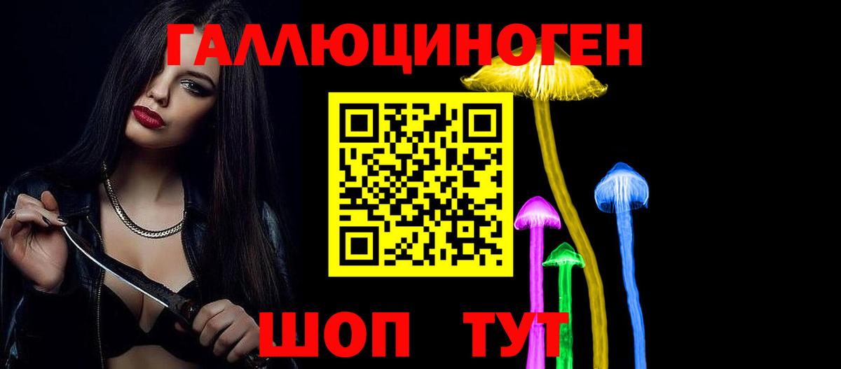 Псилоцибиновые грибы Cubensis Великий Устюг